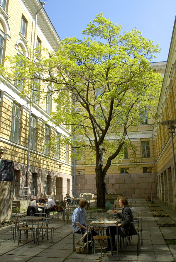 University of Helsinki, yard